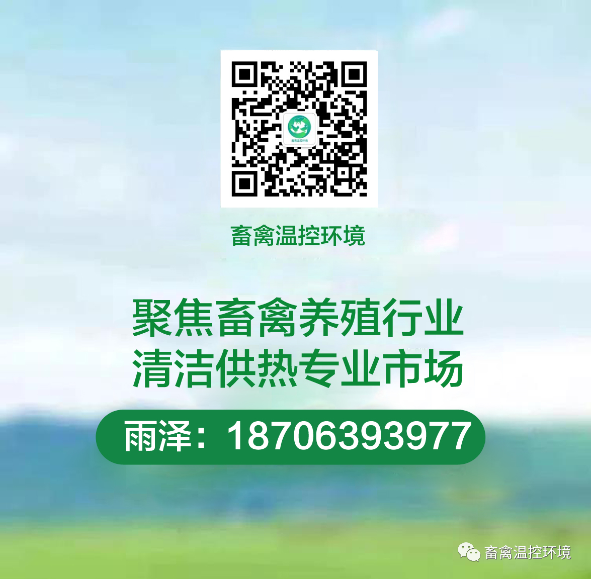 智能化養(yǎng)殖|肉雞住上恒溫恒濕的“空調(diào)房”，縮減人力成本