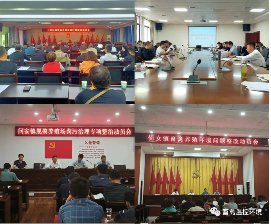 湖北|枝江市：燃燒散煤的各養(yǎng)殖場改用電等清潔能源